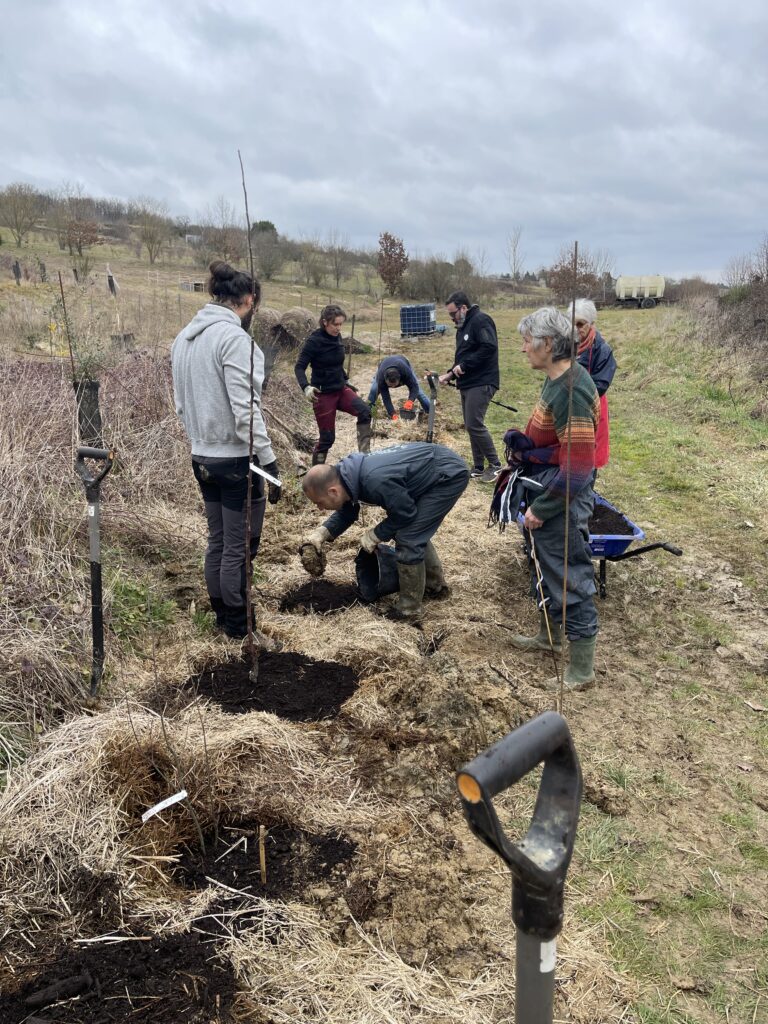 La formation conception de haie fruitière permet d’apprendre à concevoir et implanter des haies nourricières : choix des essences fruitières et mellifères, associations végétales, fonctions écologiques, production alimentaire, biodiversité et intégration paysagère, pour des systèmes agricoles résilients et durables.