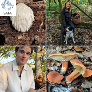 Champignons : identification, écologie et initiation à la production