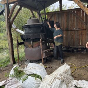PPAM : Hydrolats : L’Art de Distiller la Plante Vivante